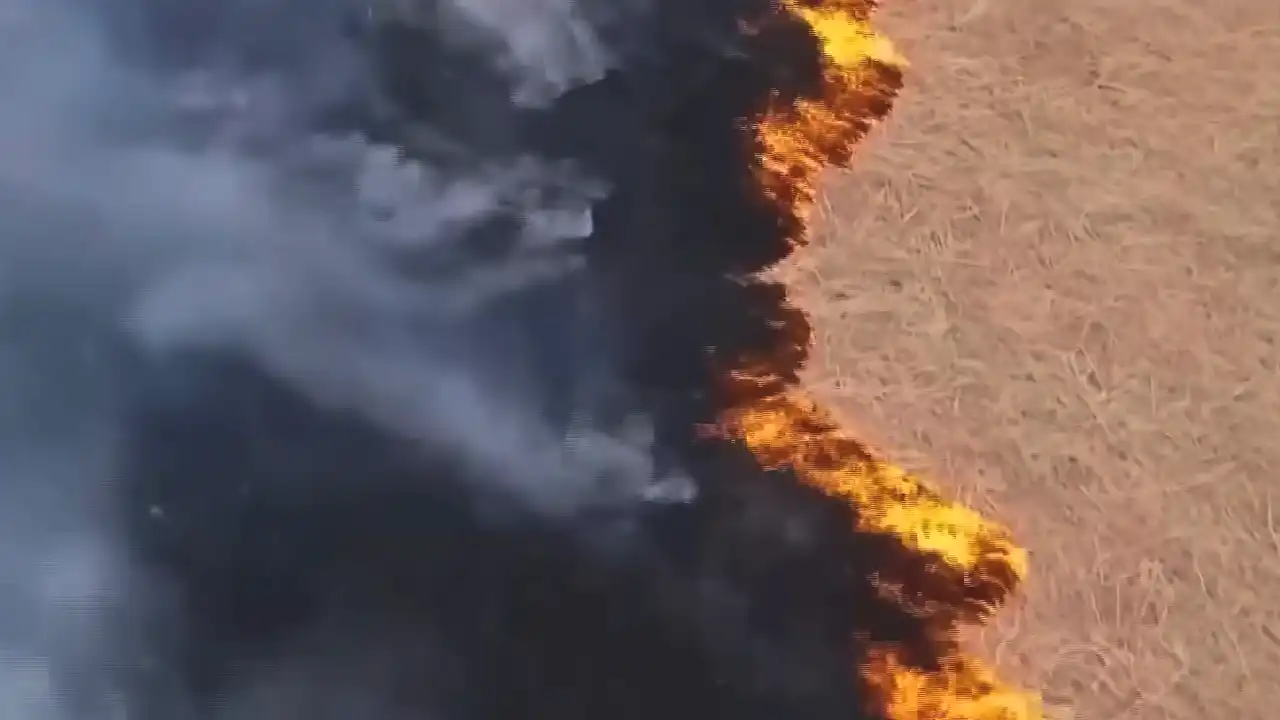 Toxic Haze Shrouds New Delhi